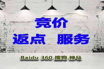百度竞价赚钱秘诀：实战案例分析